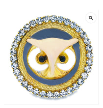 Load image into Gallery viewer, Tova Wally Hoot Brooche
